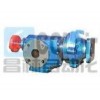 DPZ-1.2/0.6，DPZ-1.6/0.6，DPZ-3.3/0.6，DPZ-4/0.6，高真空強排式齒輪泵